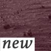 imageJulep When Pencil Met Gel Sharpenable MultiUse Longwear Eyeliner Pencil  Blackest Black  TransferProof  High Performance Liner Duo08 Berry Brown Matte